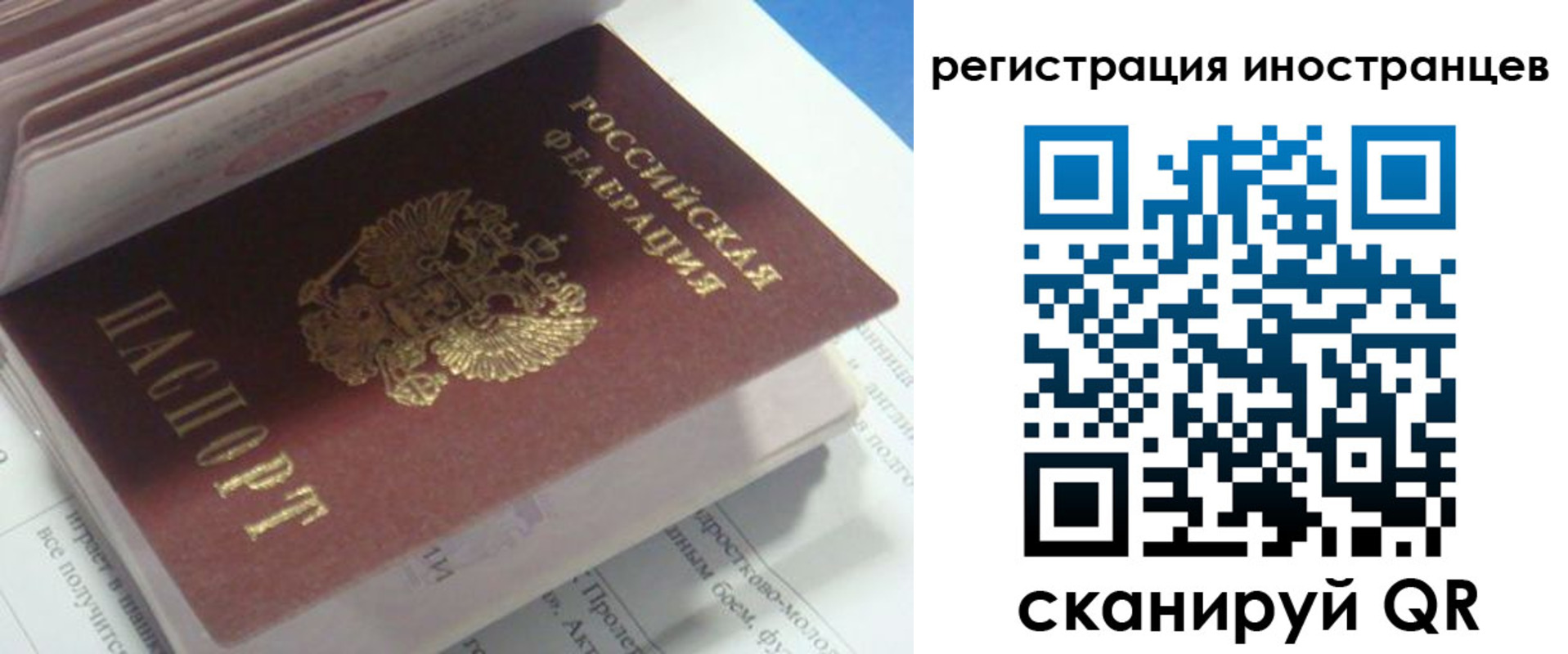 пропишу в квартире в Зеленоградске